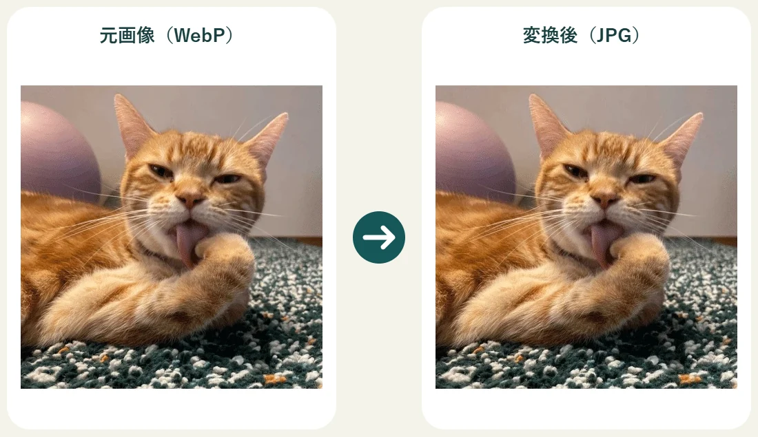 左は前足をなめている茶トラの愛猫の元画像(WebP)。右は同じ写真を構図と縦横比を保ってJPGへ変換した画像。