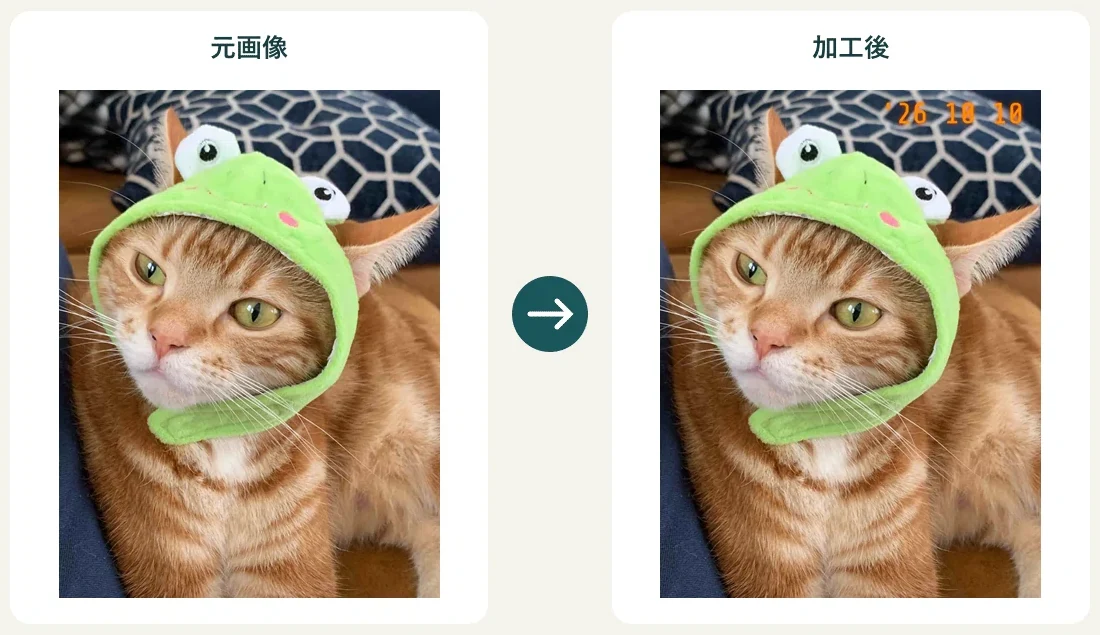 左は緑のかぶりものを着けた愛猫の写真。右は右上に日付の文字を重ねた写真。