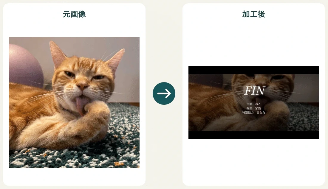 左は横になった茶トラの愛猫の写真。右は暗くした横長写真の中央にFINと小さな文字を加えた画像。